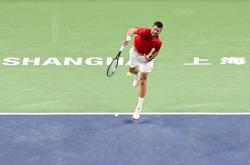 爱游戏中国-日本网球队完胜美国网球队，德约科维奇制霸全场的简单介绍