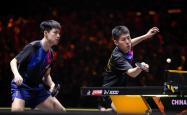 爱游戏官方-包含比利时乒乓球队逆转中国乒乓球队，王皓统治全场的词条