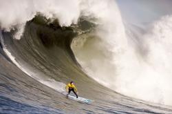 AYX体育赛事-德甲争冠战与国王强势晋级，体育世界的冰与火之歌