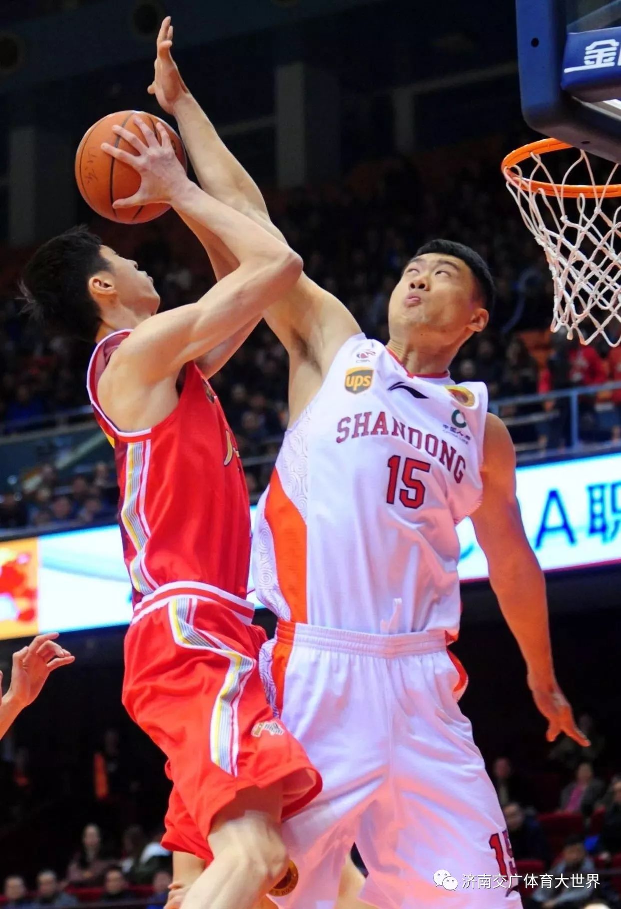 山东队主场告捷，深圳遭遇连败