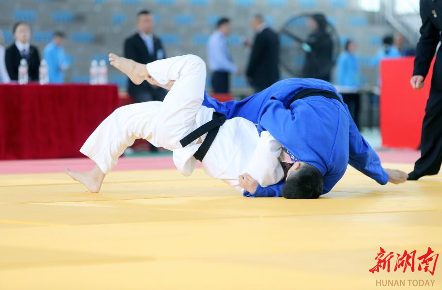 包含创历史：柔道比赛上演新一轮较量的词条