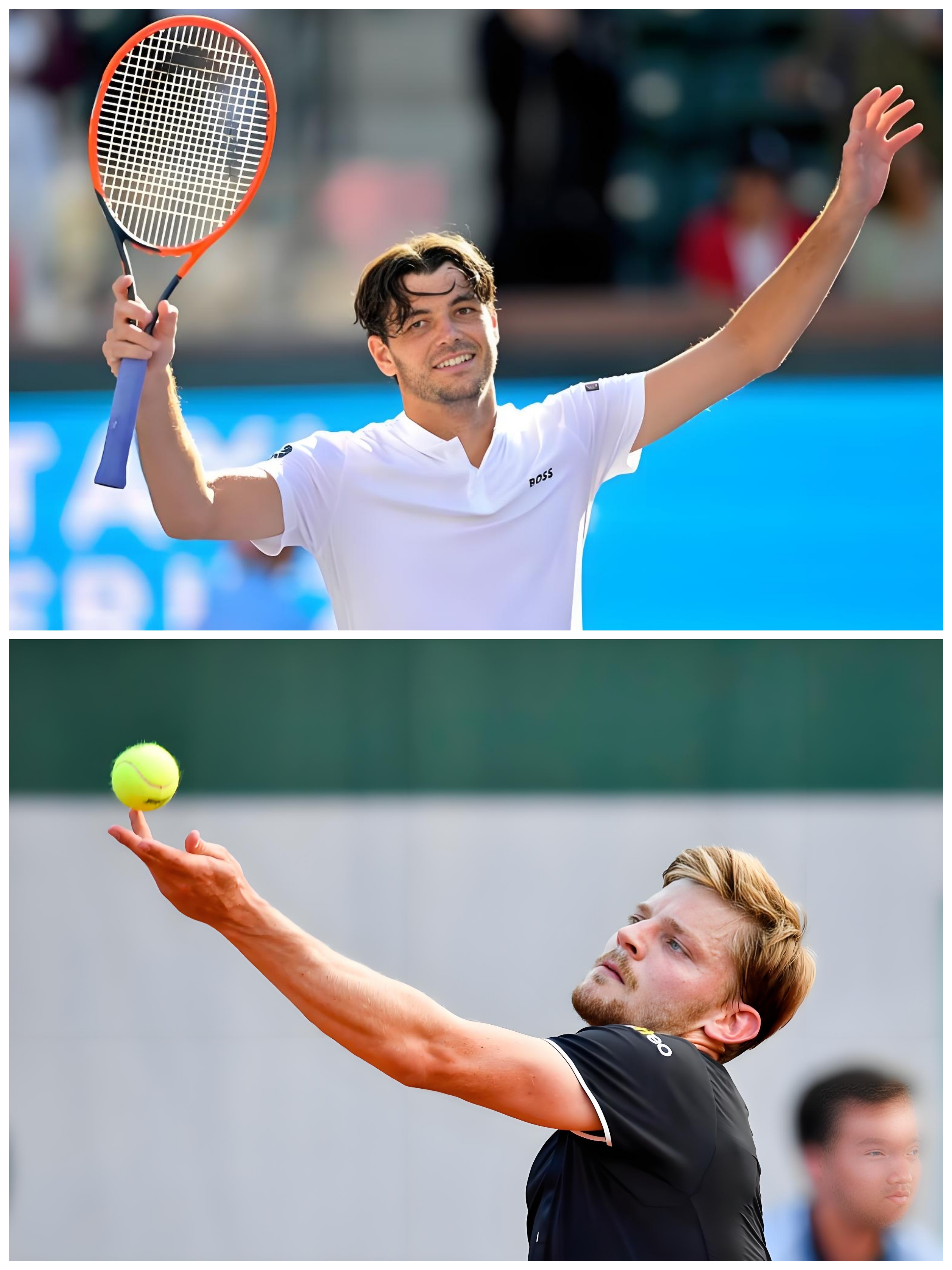 戴维斯杯横扫蒙特卡洛大师赛，梅德韦杰夫点燃赛场的简单介绍