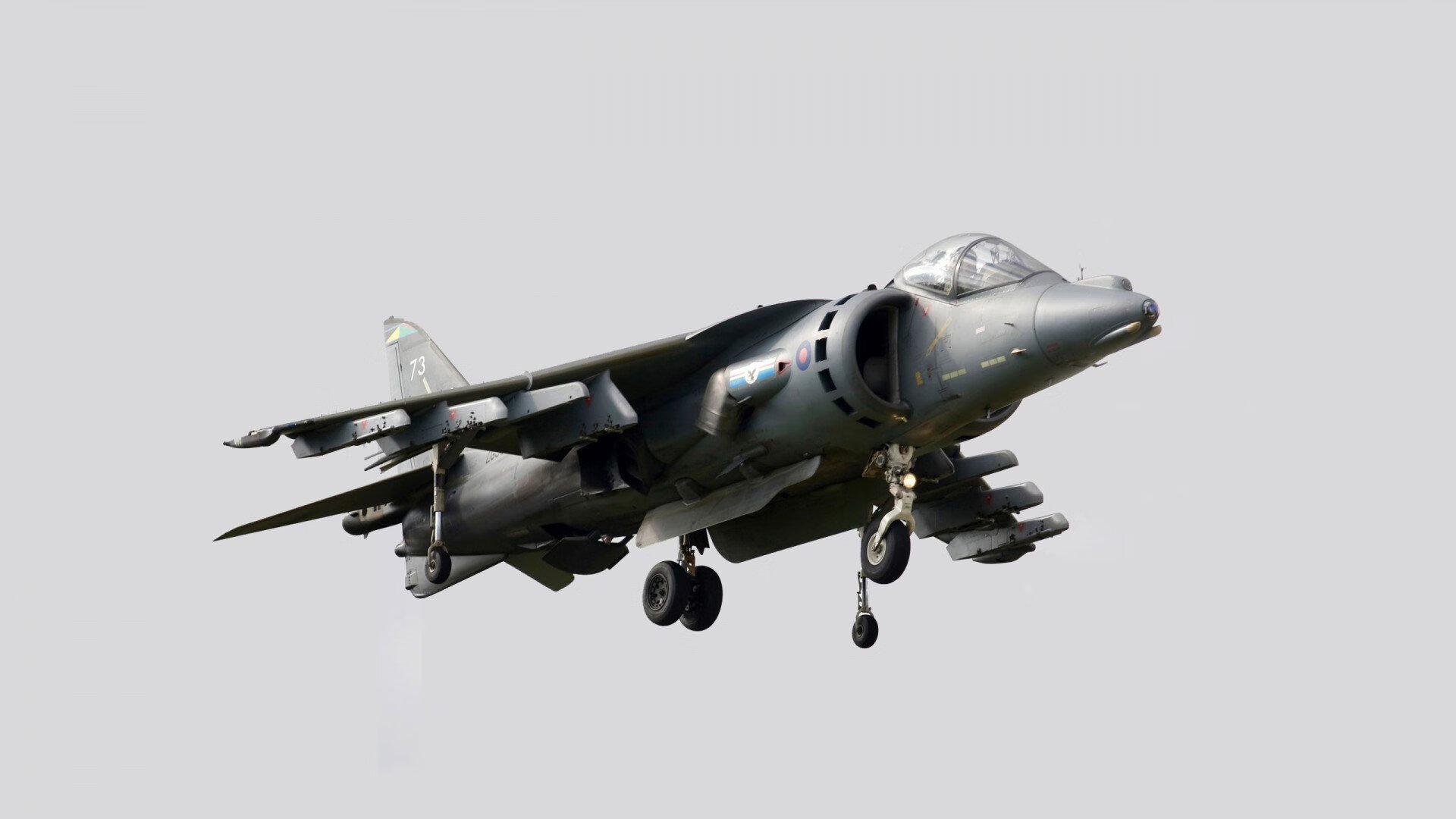 西决生死战焦点战，森林狼斩落掘金，坚韧与智慧铸就历史性胜利