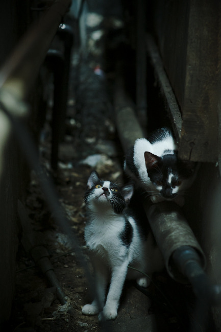 奥运周期关键战之夜，布克硬仗之王