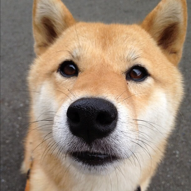 西决生死战焦点战,卡塔尔资本如何压制比利亚雷亚尔的传统足球哲学?